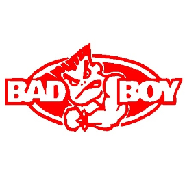 Bad Boy